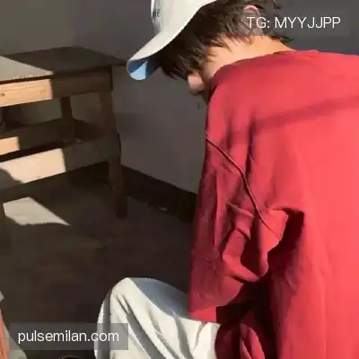 蓬盈晓